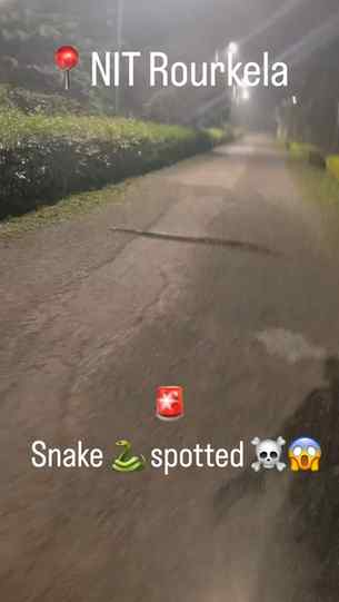 ⚠️ Sambhal ke! Yahan achanak saap nikal aaya 🐍😱
🚨
Aisi ja