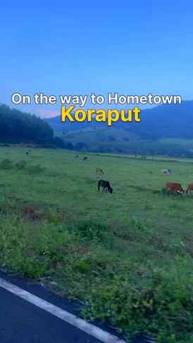 The place where I belong 🏡⛰️
.
.
#fyp #koraput #foryou #hom