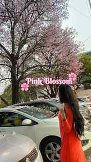 Every Spring the city Namma Bengaluru transforms into a drea