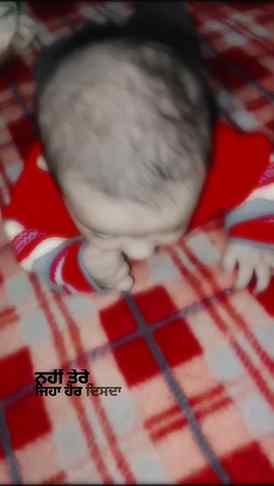 Cute 🥰 si 😍 jaan❤️❤️
