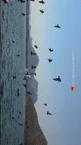 Udaipur from my eyes 🌇🍃
.
.
.
#udaipur #udaipurbeauty #uda