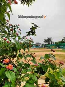 Some random clicks 📸

#rainyseason #clouds #cricketpractice