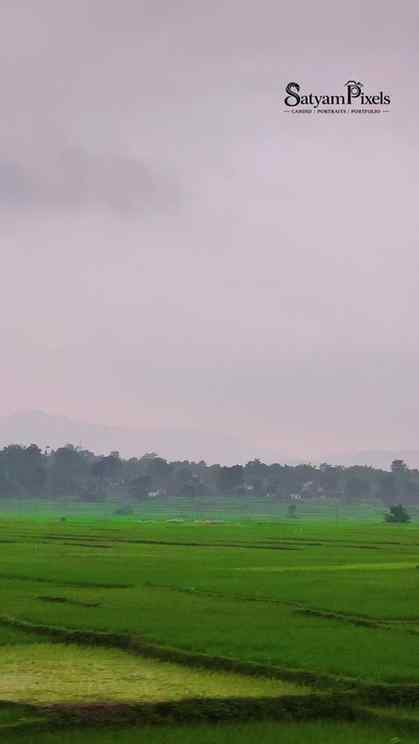 गांव घूमने चलें?? आ जाओ..🚗

#गांव #apnaghar #apnagaon #road