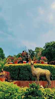 Sindhu Kanhu Park Ranchi 

#sidhukanhupark #exploring #viral