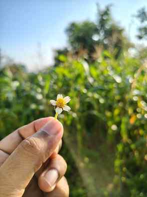Finding joy in the little things.🌼🌼

#morning #morningblis