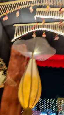 Alipurduar pujo
#durgamaa