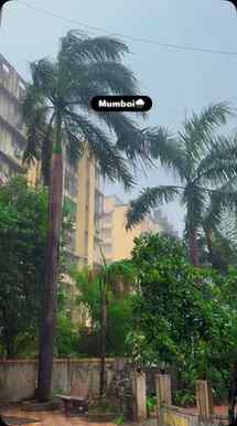 #Mumbai🌧️#reels #video ♥️