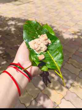जय छठी मइया 🙏🌺
छठ महापर्व की ढेरों शुभकामनाएँ!