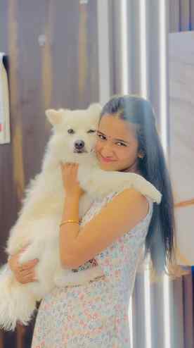 🥹🪬

@babuuu.___03 

#sejallllll.___ #pet #pomerian #babu #