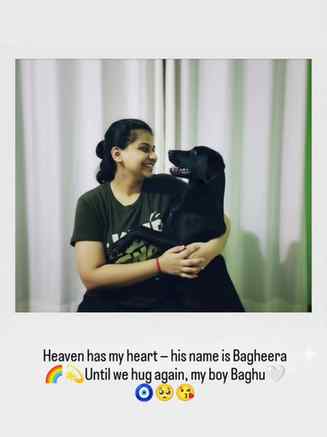 12.09 💔 BAGHEERA
5 years without you, and somehow, I still