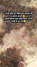 कौन कौन जानता है, इसका नाम?🤔
#villagelife #trending #sangr