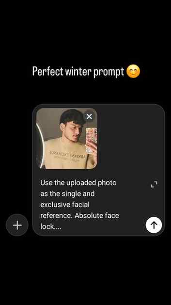 Prompt : Use the uploaded photo as the single and exclusive 