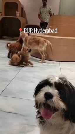📍PUP Cafe, Hyderabad 💗#reelsinstagram
.
.
.
.
.
.
.
.
.
.
