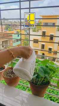 A little slice of my everyday life! 🌿✨ From watering the pl