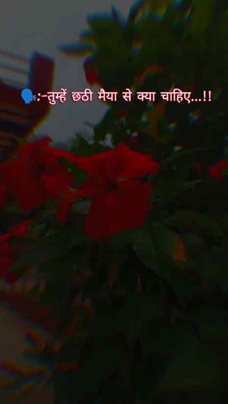 Hamara mahaparv aa raha h ☀️🙏🏻🥹...................
.
.