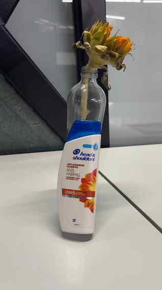 Are struggling with dandruff issue like me?
Then switch to H