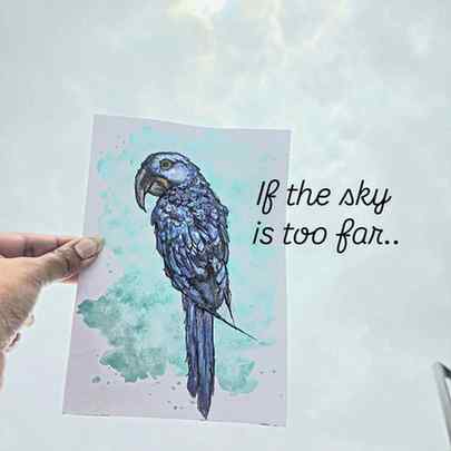 If I had wings I would:

Paint the sky and...

Fly through i