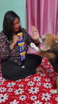 Happy tummy, happy tail! 🐶🌱
Treat your furry friend with M