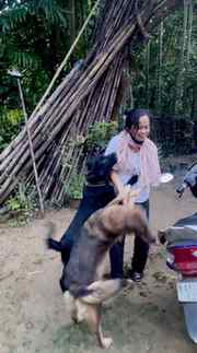 Hui sing 🐶 harawna chongbasedi 🥰
#meiteichanu #meiteicommu