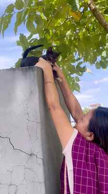 Haudong se🐱 kummu yade🥰
#Meiteichanu #manipuri #meiteicomm
