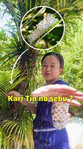 Kari Tin🐛 no sebu? Comment da hybirou📨
#manipurireels #mei