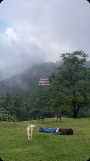 Down to earth (literally)
{mountains, Mussoorie, hidden pl