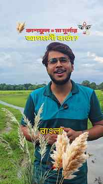 মা আসছেন—এই খবরটা প্রথম কে দেয় জানেন?
ঢাক নয়… কাশফুল। 🌾❤️