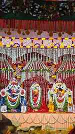 🎡 নাগরদোলা না 🍭 জিলিপি? কোনটা?
.
.
.
.
.
.
#RathYatra #রথ