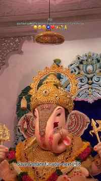 You have spend the bestest midnight moments on Ganeshotsav🙂