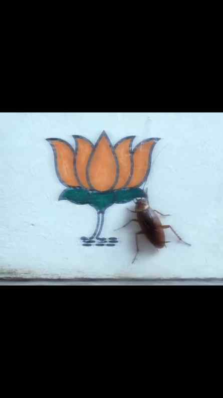 🇮🇳