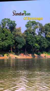 সুন্দরবন এর ভিউ শ্যামনগর এই 
 #শ্যামনগর #shyamnagar
