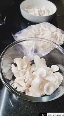 #mashroom