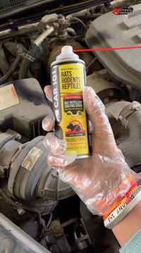 Car 101 Rats Rodents & Reptiles Product๐
Car 101 ka ye pro