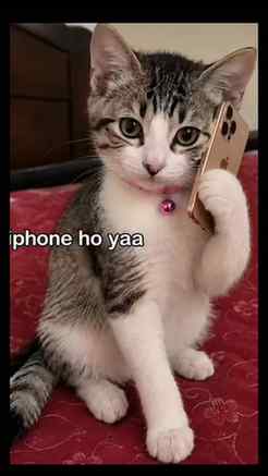Happy ganesh chaturthi 🫶🧿🪷💓
Iphone ho ya samsung ganpati