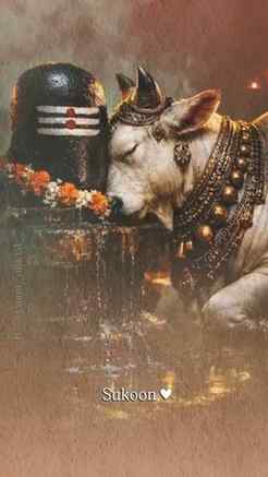 Sukoon = MAHADEV 🫀🧿🔱
Om namah shivay
Jai Pashupati, Jai