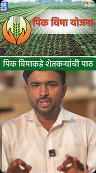 ♦️Pik Vima 2026| शेतकऱ्यांनी पिक विमाकडे पाठ फिरवली #shetkar