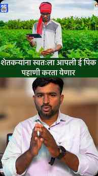♦️E pik pahani new update|#marathiinformation शेतकऱ्याना स्व