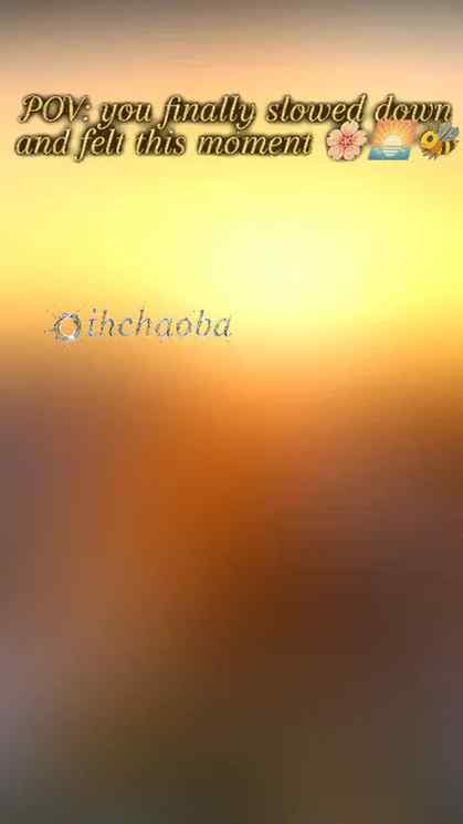 golden light, soft petals, and quiet little moments…
sometim