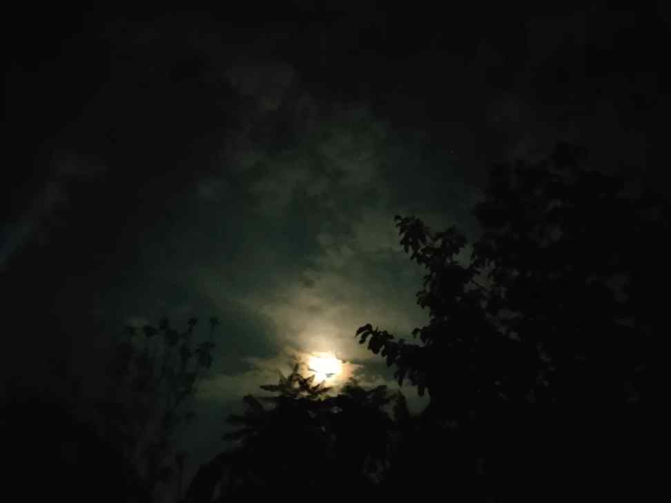 🌙🌝
Moon....
.
.
#instagood
#growthmindset
#fyp
#InstaNa
