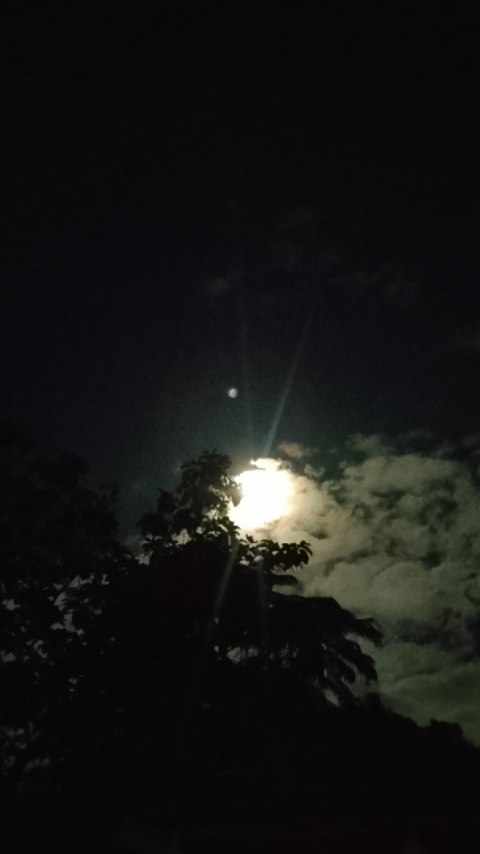 "No matter how lonely the sky feels, the moon still chooses
