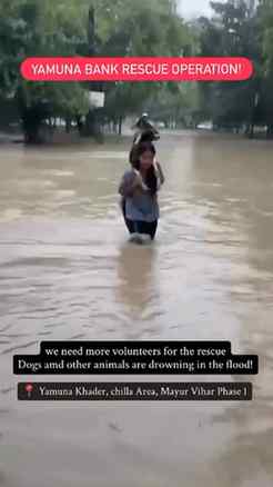 Now It’s Our Turn To Step Forward And Support The Voiceless�