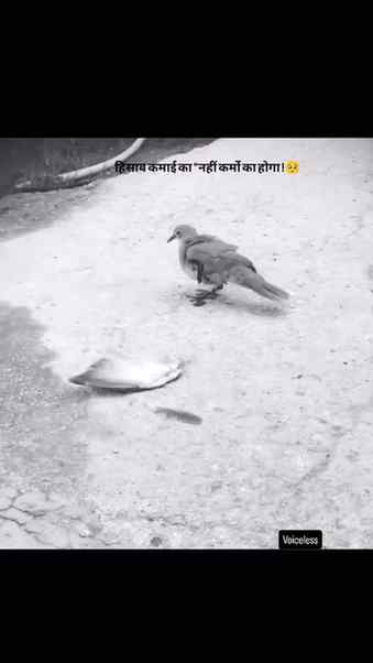 हिसाब 💔 Shame On Us For Being A Human Being😞. #instagram #