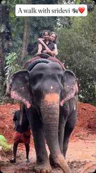 A ride I’ll never forget. 🐘✨