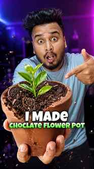 I made chocolate flower pot 🤯