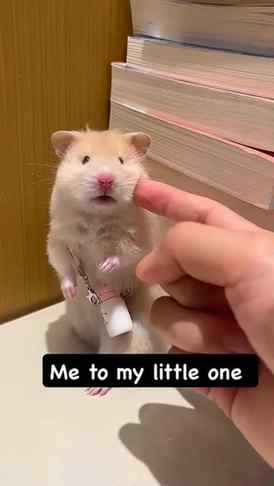Me to my little one 🤌❤️
#viral #instagood #babygirl #fyp #