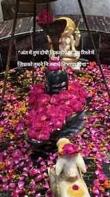 अंत में तुम ही दोषी निकलोगे
.
#mahadev #viral #fyp #relatab