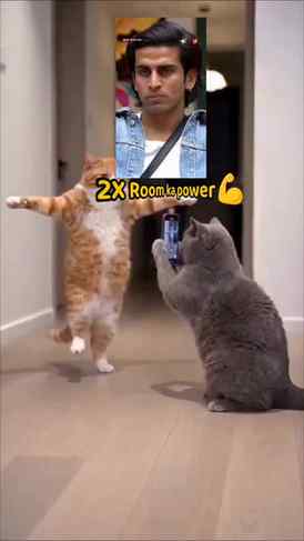 Biggboss20
#biggboss20 #biggboss2026 #salmankhan #trending #