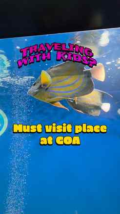 Travelling with kids to Goa??
Try this unique experience wh