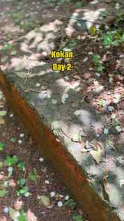 Kokan day 2
#kokan #explorepage #fun