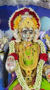 श्री देवीचे वसुंधरा रूपात दर्शन✨